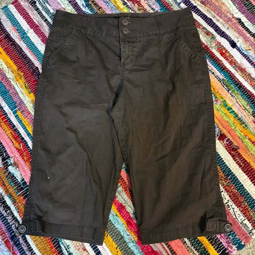 Earth tone Capri Pants Size 12P Brown